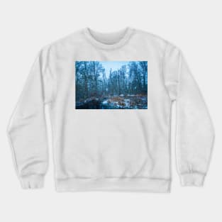 January Snow Day Crewneck Sweatshirt